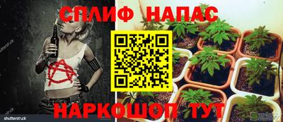 гашишное масло Нарткала